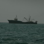Illegal Trawler at Kent